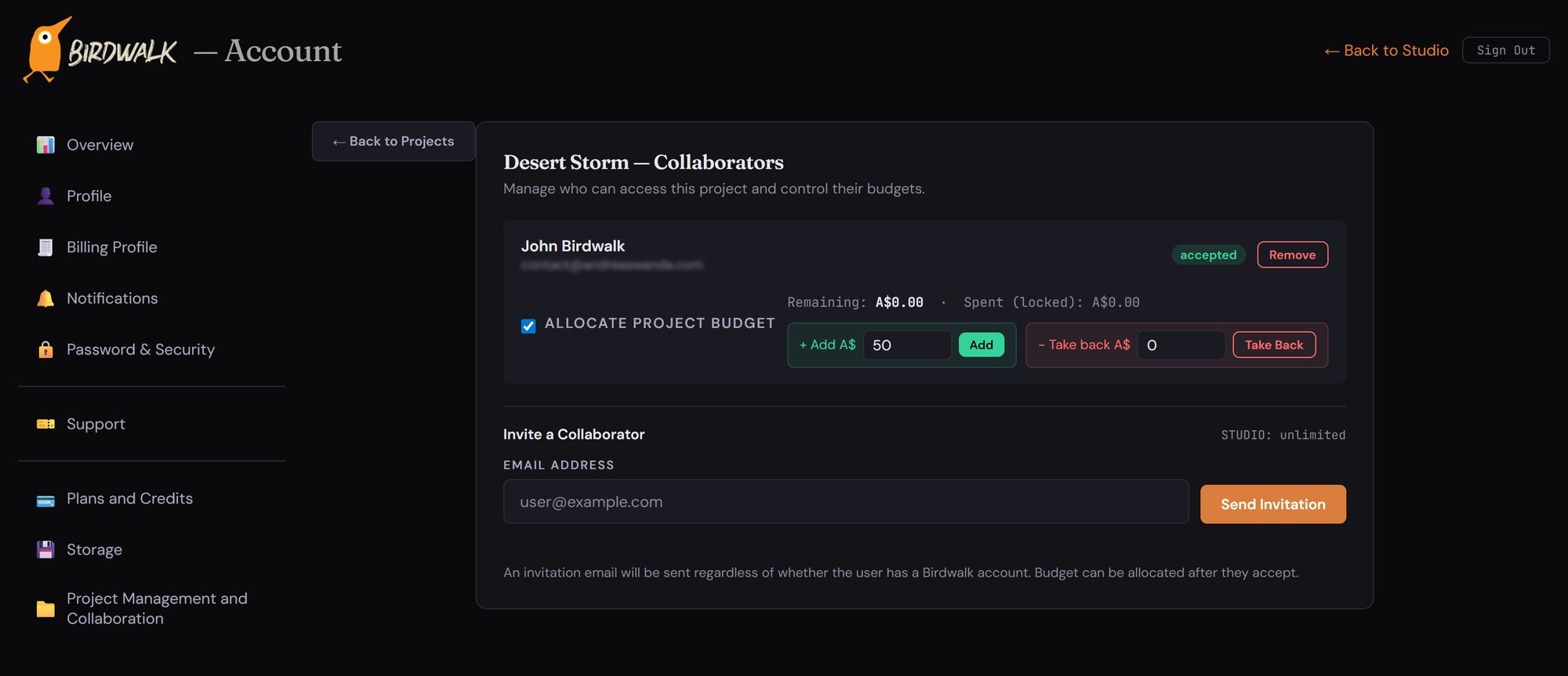 Invite team members to collaborate